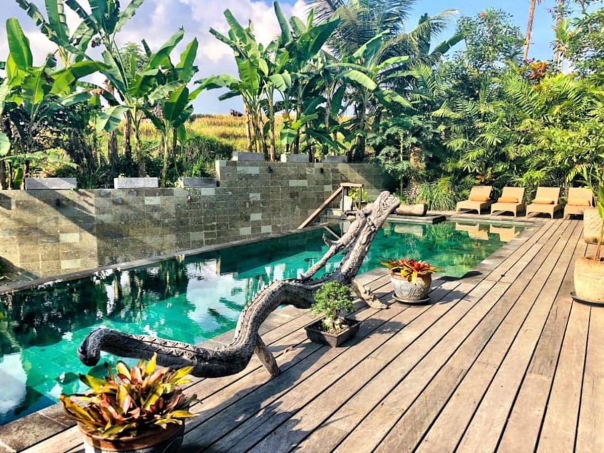 Dragon House - Your Dream House In Bali! Убуд Екстер'єр фото