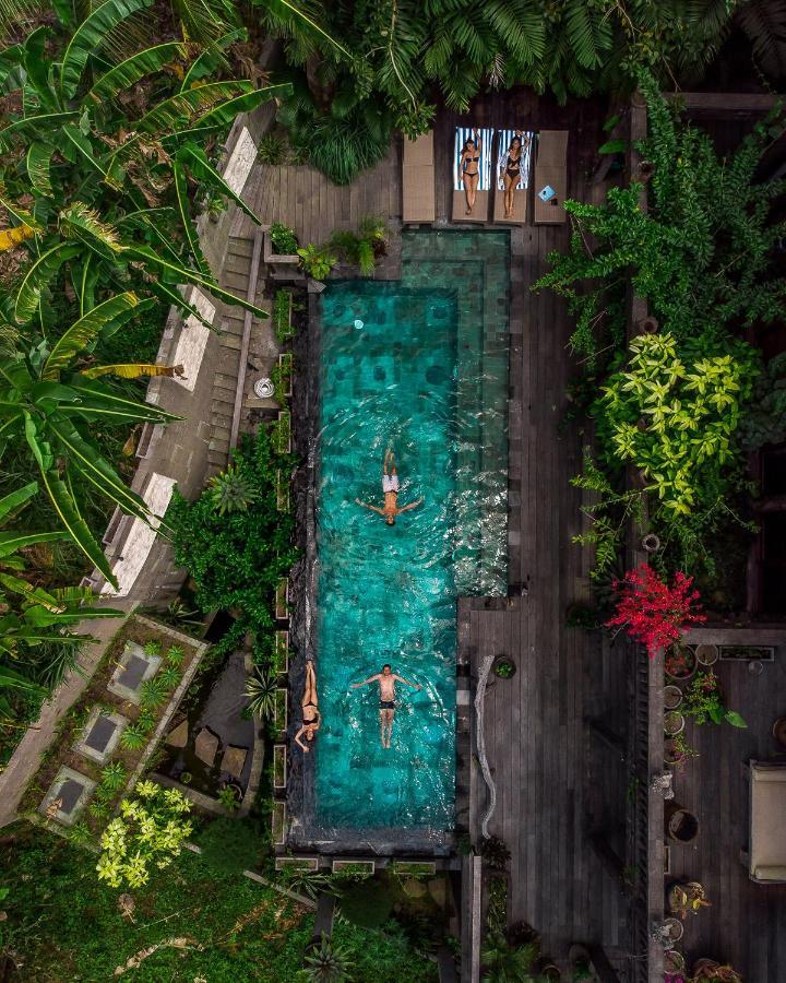 Dragon House - Your Dream House In Bali! Убуд Екстер'єр фото